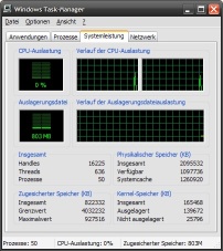 Screenshot Taskmanager von Windows XP auf 50% verkleinert